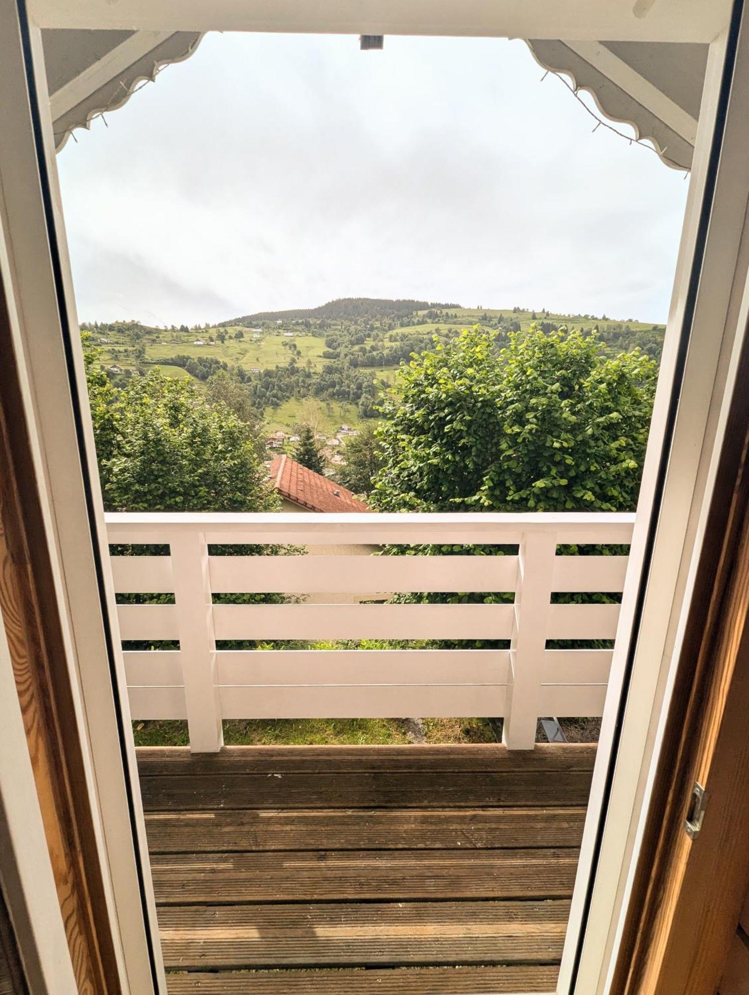 Chalet Sauna Jacuzzi 6 Personnes La Bresse Exteriér fotografie